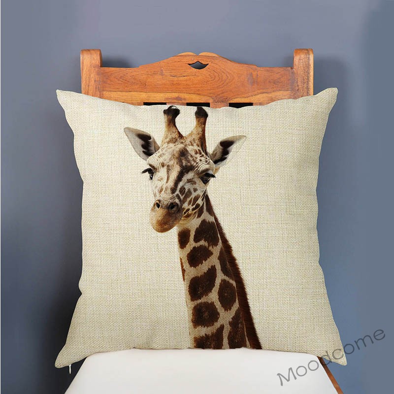 Cute Baby Setting Nursery Art  - Baby Zebra Nursery avis et prix