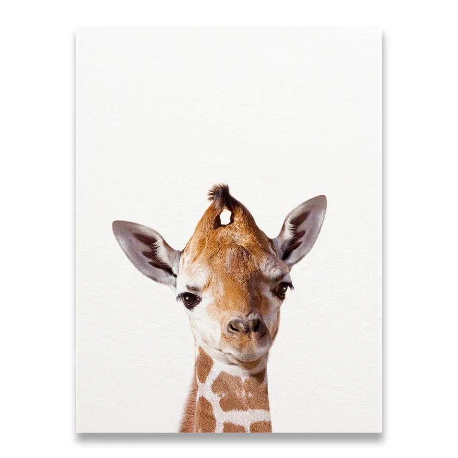 Lion Zebra Elephant Giraffe Ba - Baby Zebra Nursery avis et prix