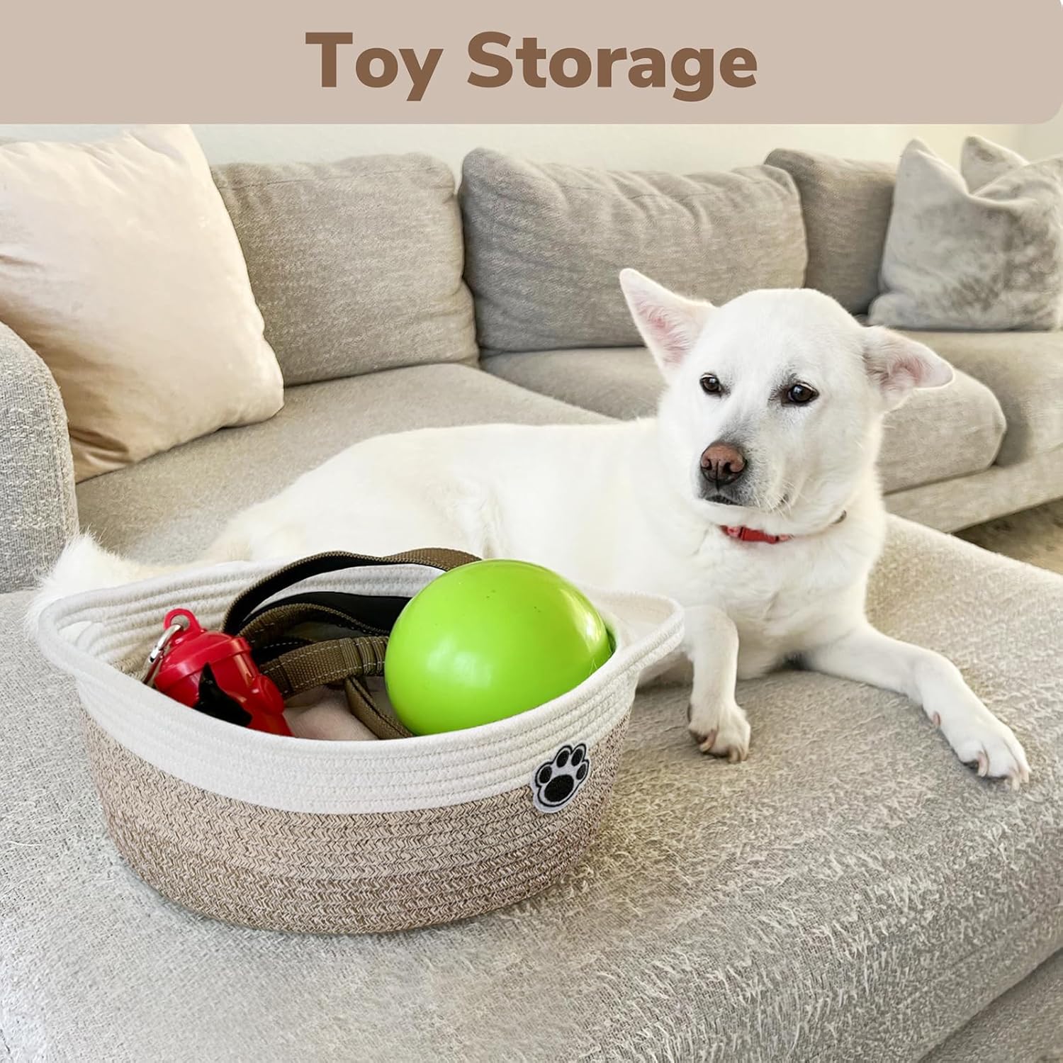 Woven Dog Toy Basket, 12x8x5 I - Baby Nursery Images avis et prix